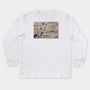 Dried Dirt Rubble Surface With Green Grass Stem Kids Long Sleeve T-Shirt